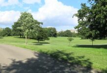 Singleton Park – Request donations for trees