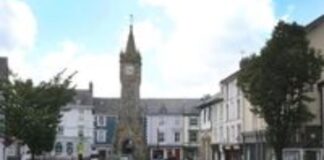 Have your say on the future of street trees in Machynlleth