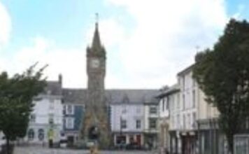 Have your say on the future of street trees in Machynlleth Have your say on the future of street trees in Machynlleth