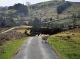 Animal health prosecution success – Powys County Council
